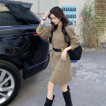 Reina Knit Belted Sweater Dress