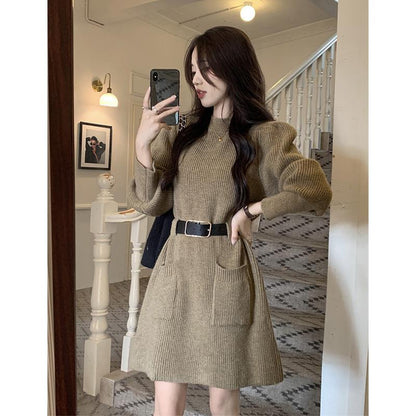 Reina Knit Belted Sweater Dress